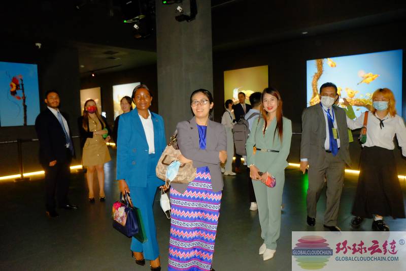 图24缅甸驻华大使馆副馆长、公参辛玛推Zin mar Htwe及秘书与七国驻华大使团参观了艾雅康鸟类生态博物馆.jpg