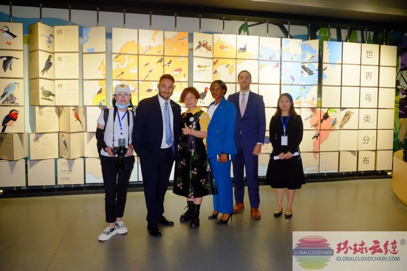 图30世界商人网创始人、主编王晓玲Marissa陪同葡萄牙驻华大使馆总领事白宥亨,萨尔瓦多驻华大使馆经济商务参赞佩德罗· 哈耶姆,纳米比亚驻华大使馆秘书,斯里兰卡驻华大使馆秘书参观艾雅康鸟类生态博物馆.jpg